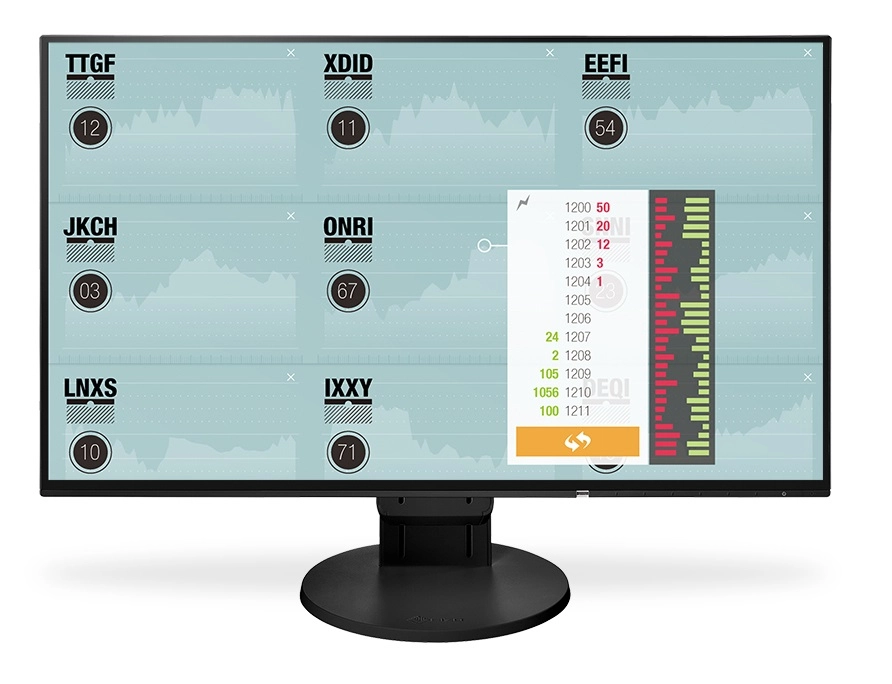 Monitor EIZO FlexScan EV2451 czarny