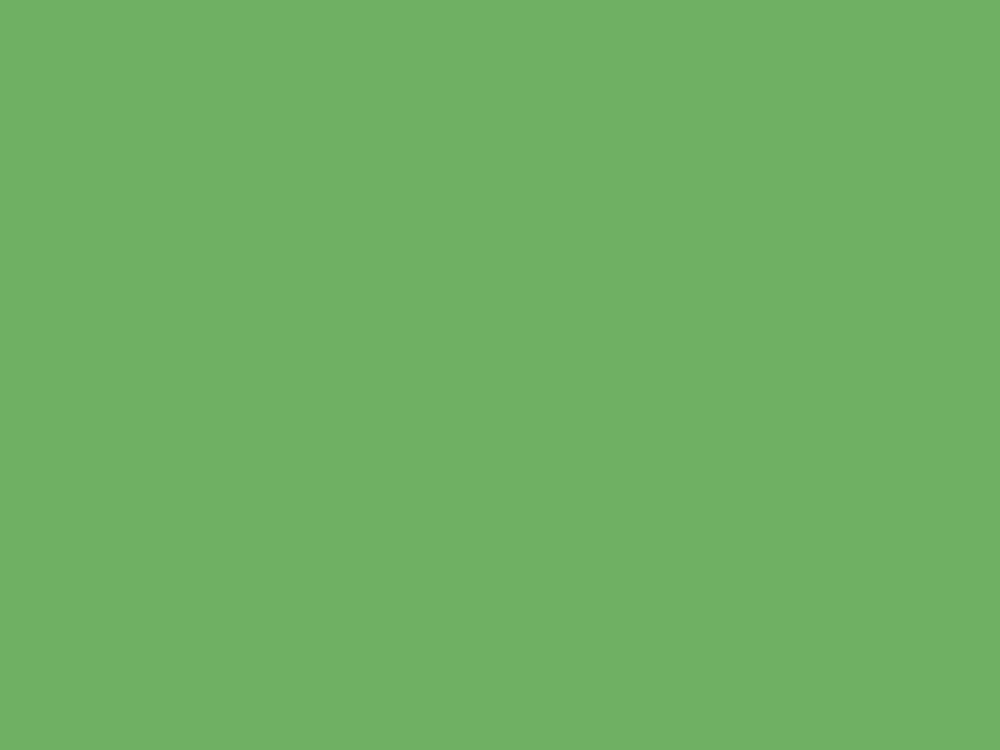 Tło kartonowe FreePower kartonowe 1.35x10 m - Tech Green