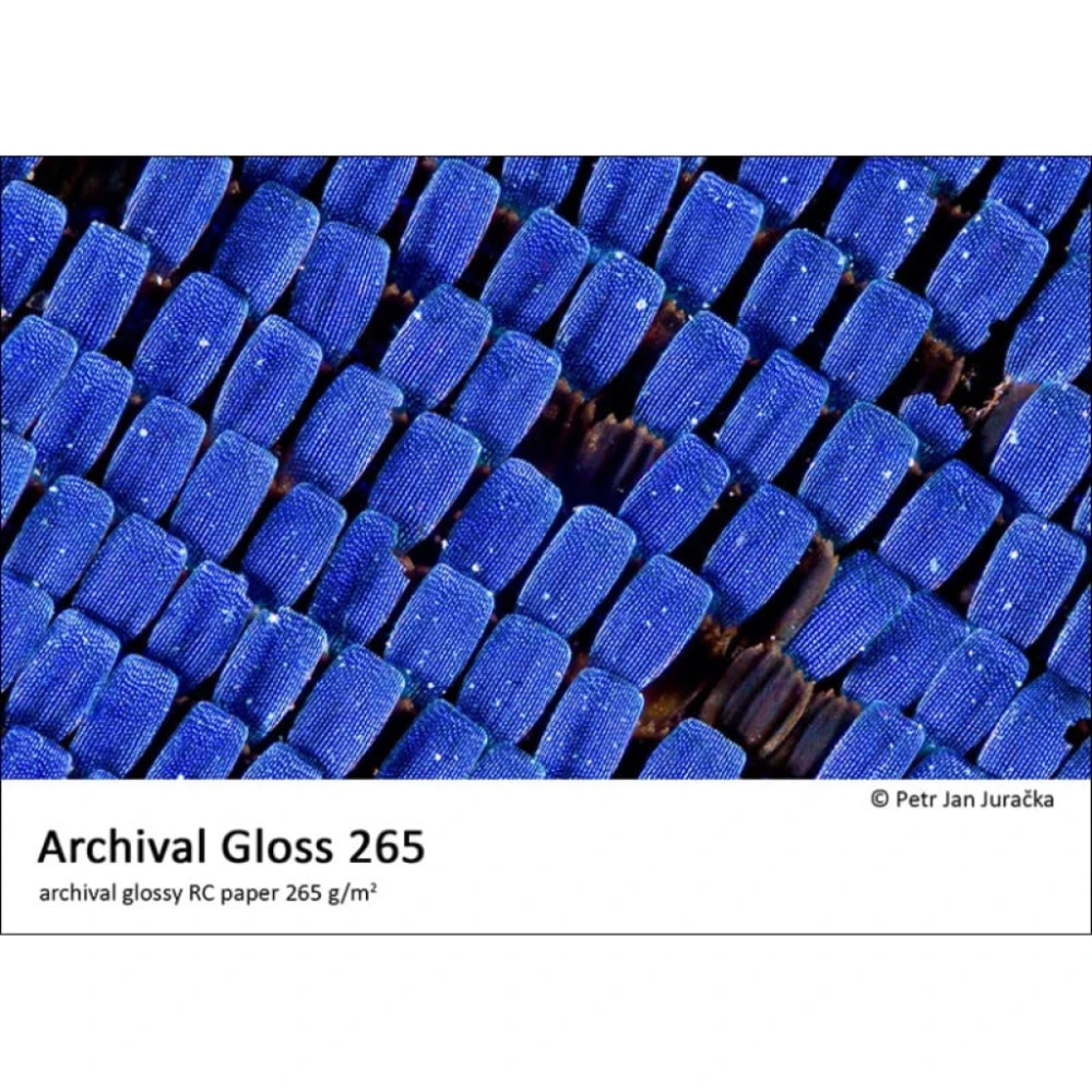 Papier Fomei Archival Gloss 13x18/50 G265 