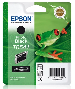 Tusz Epson T0541 Photo Black 