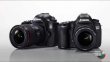 Lustrzanka Canon EOS 5DS body 