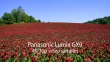 Aparat cyfrowy Panasonic LUMIX DC-GX9 body czarny