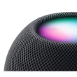 Głośnik  Apple HomePod Mini Space Grey 