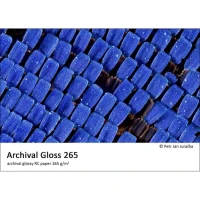 Papier Fomei Archival Gloss 9x13/50 G265 