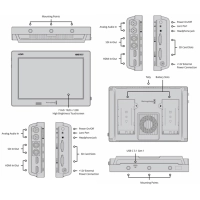 Blackmagic Video Assist 7 cal 12G HDR