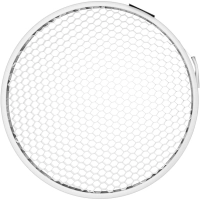 Grid Profoto 10 stopni 180 mm White