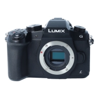 Panasonic LUMIX DMC-G80 body s.n. WE2DB001478