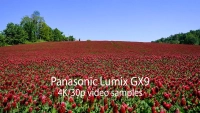 Aparat cyfrowy Panasonic LUMIX DC-GX9 body czarny