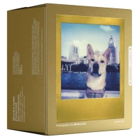 Wkłady Polaroid Color film for Go - złota ramka - Double Pack