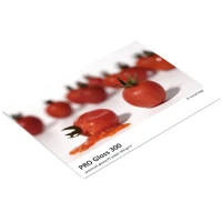 Papier Fomei Pro Gloss 300 gsm A3 50szt.