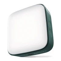 Lampa LED Newell Campina (zielony)