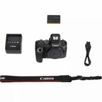 Aparat cyfrowy Canon EOS R6 body