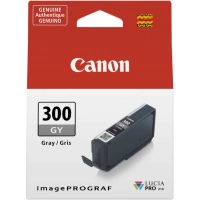 Tusz Canon PFI-300 Photo Grey