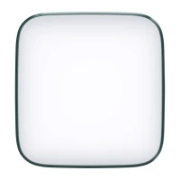 Lampa LED Newell Campina (zielony)