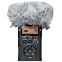 Tascam WS-11